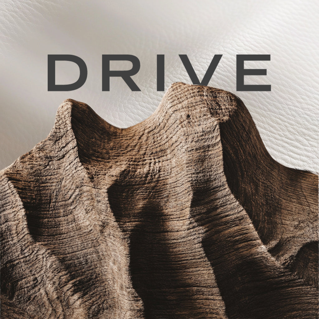 Drive Logo behind a wooden shape