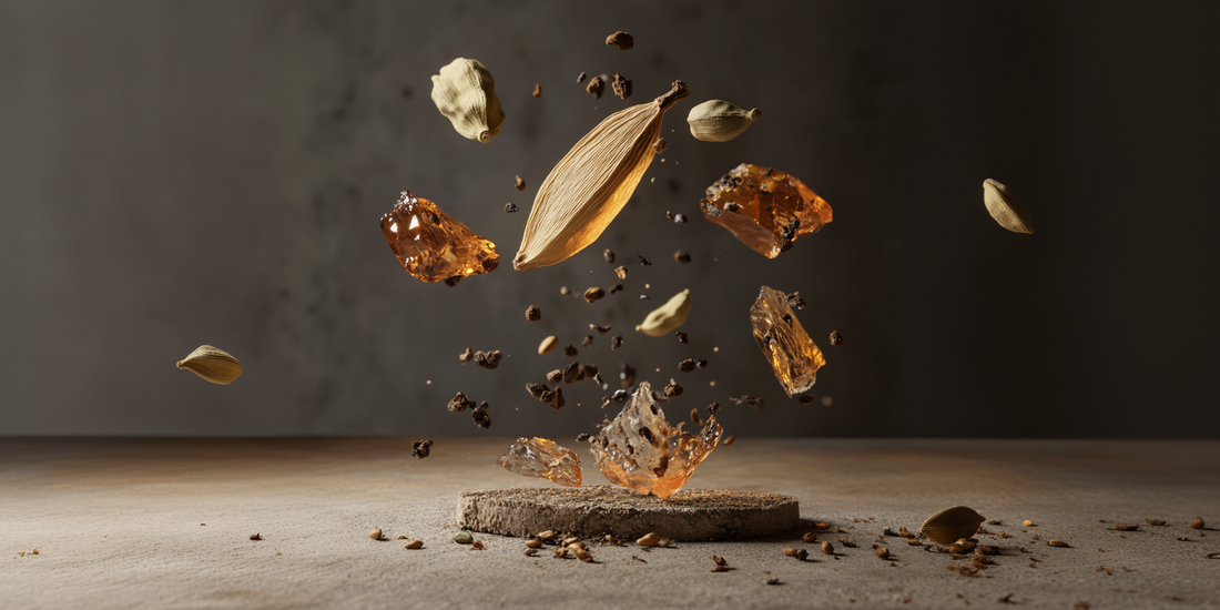 One Scent Ingredients displayed