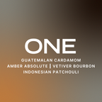Drive ONE scent card: Guatemalan cardamom, amber absolute, vetiver bourbon, Indonesian patchouli