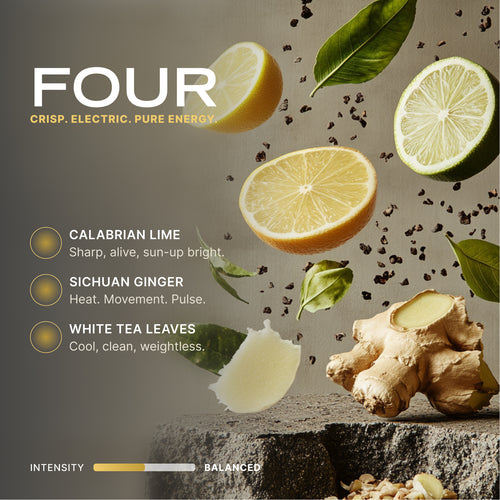 Hanging Car Perfume - FOUR