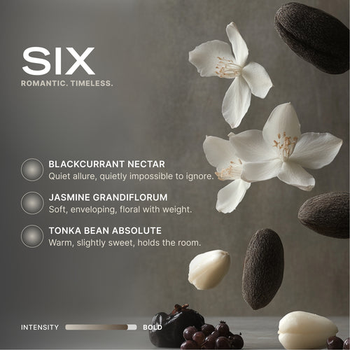 Hanging Car Perfume - SIX